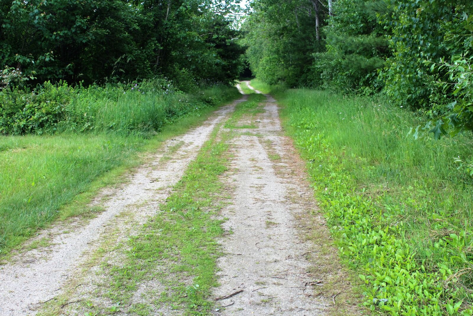 Canon EOS 1200D (EOS Rebel T5 / EOS Kiss X70 / EOS Hi) sample photo. Farm, hiking, milford, nh photography
