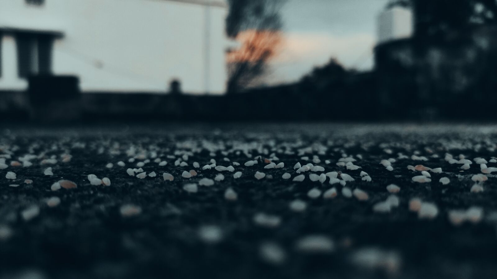 Xiaomi Redmi Note 7 Pro sample photo. Macro, wallpaper, grain photography