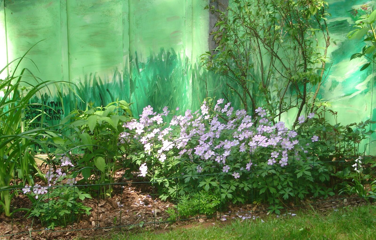 Sony DSC-S40 sample photo. Garden, flower, gardening photography