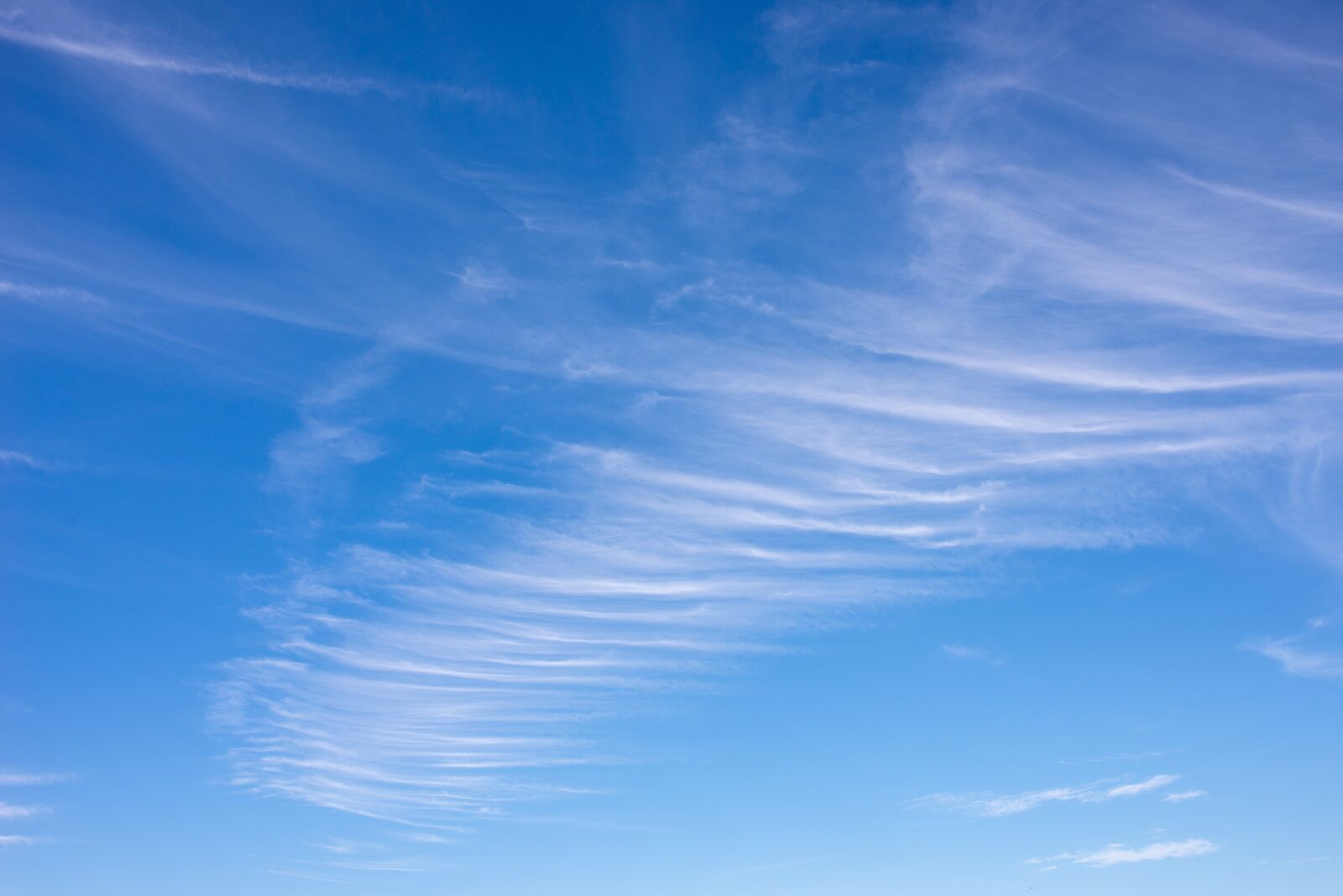 Nikon D610 sample photo. Texture, sky, blue photography
