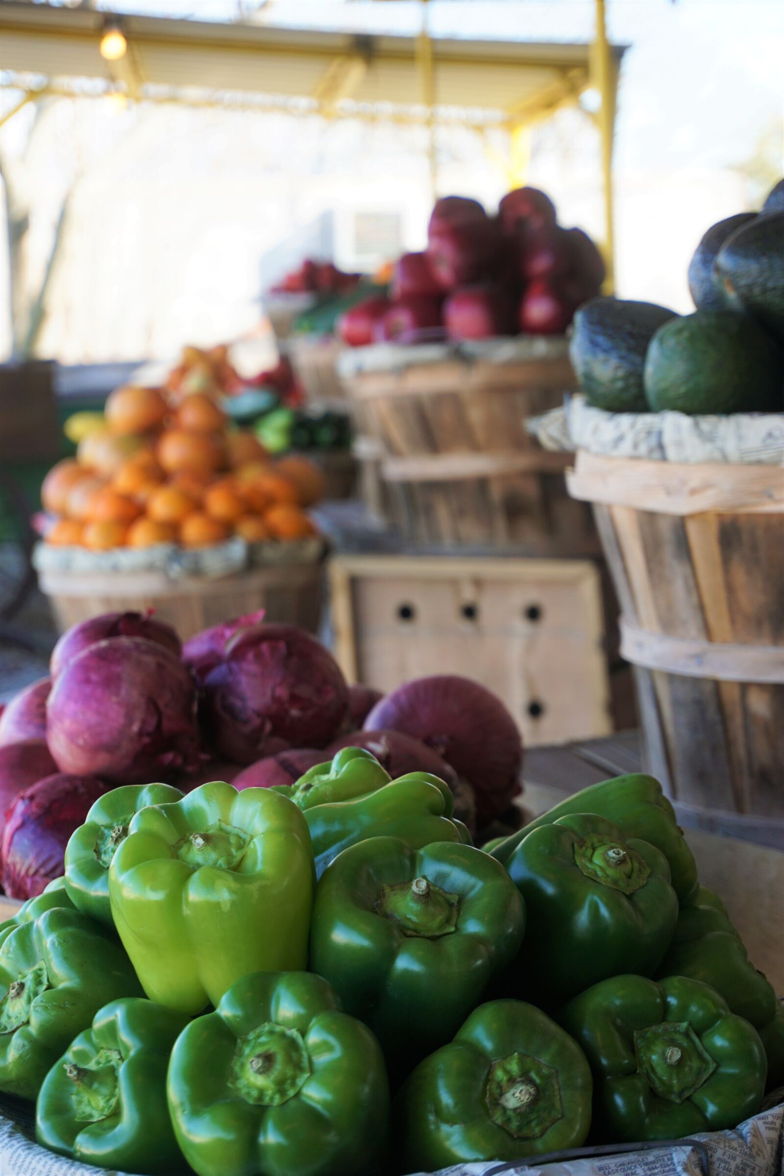Sony a6000 sample photo. Bushel, crops, farm, produce photography