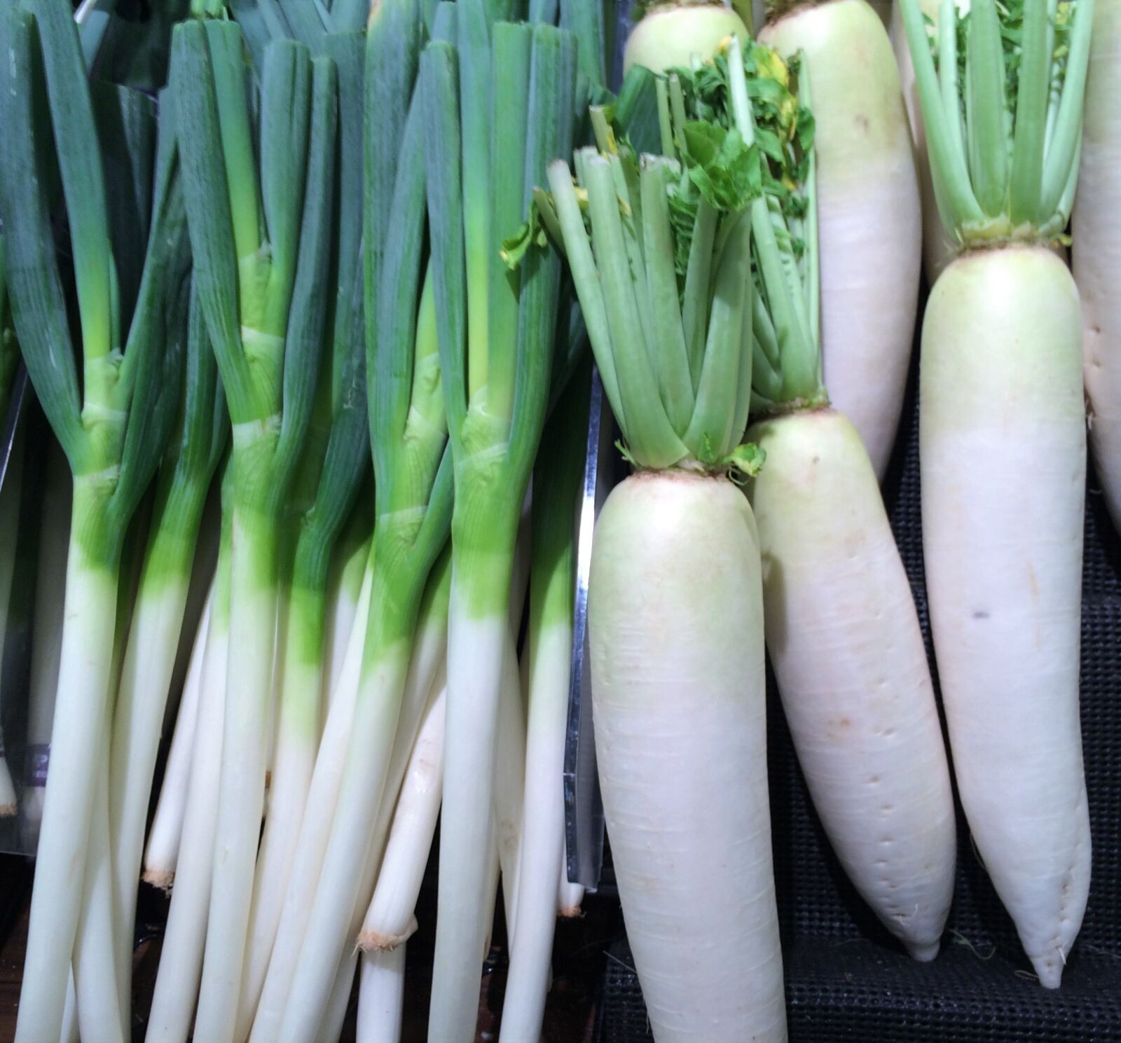iPhone 5s back camera 4.15mm f/2.2 sample photo. Green onion, radish, vegetables photography