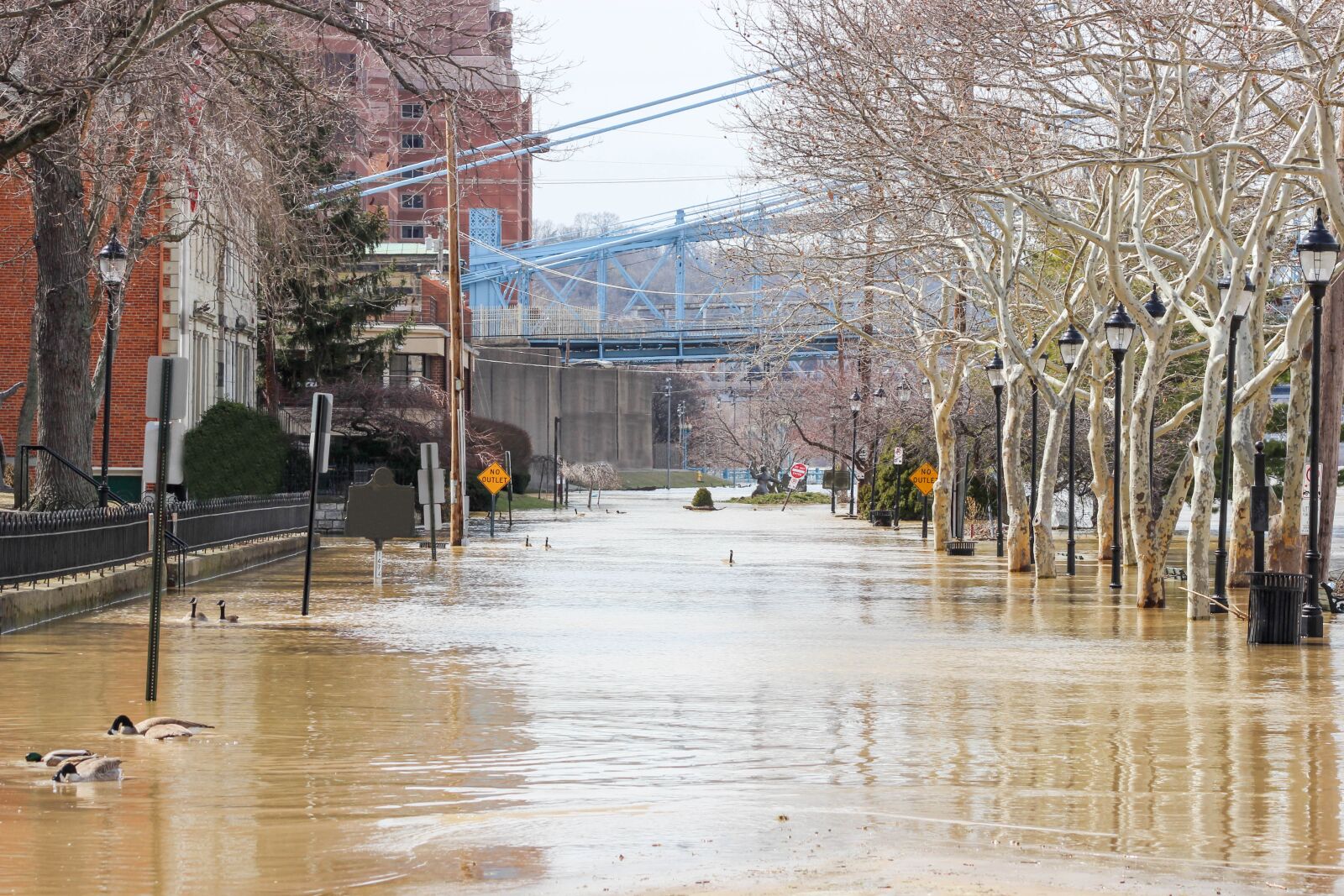 Canon EOS 600D (Rebel EOS T3i / EOS Kiss X5) sample photo. Street, water, tree photography