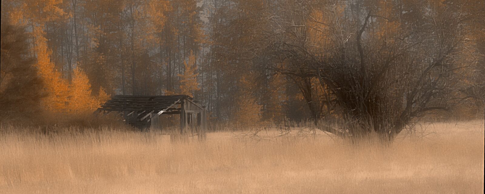 Nikon D7000 sample photo. Fall, in, british, columbia photography
