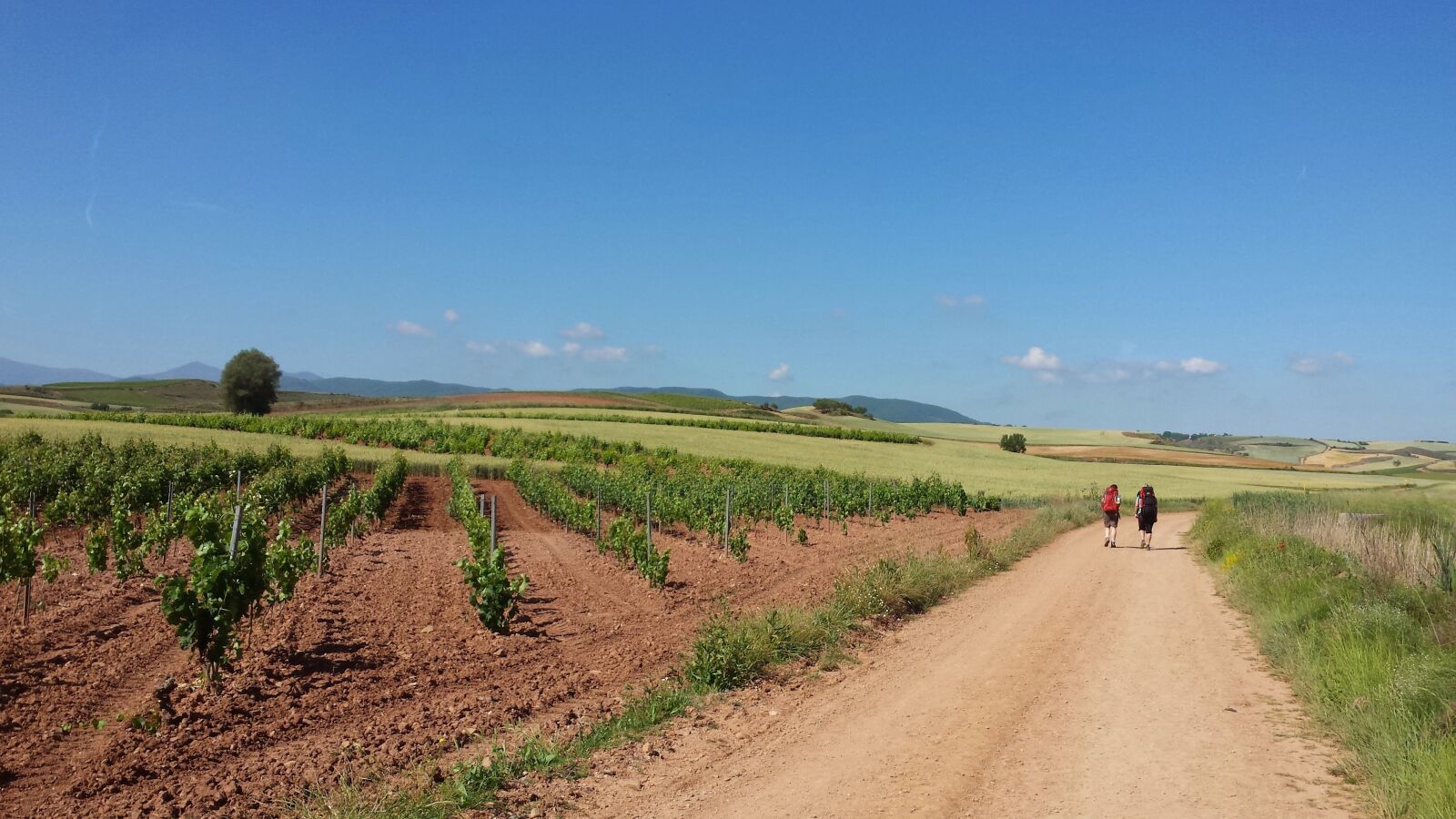 Samsung Galaxy S4 sample photo. Make a pilgrimage, jakobsweg photography