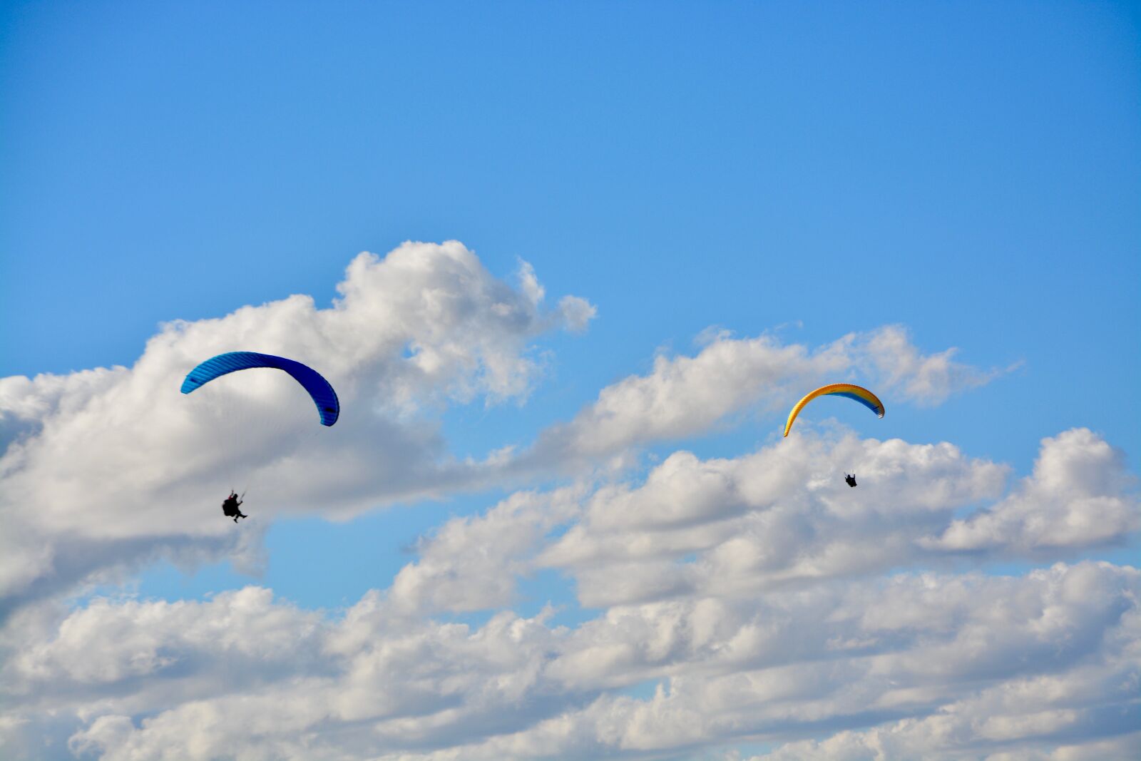 Nikon D5200 sample photo. Paragliding, paraglider, sailing photography