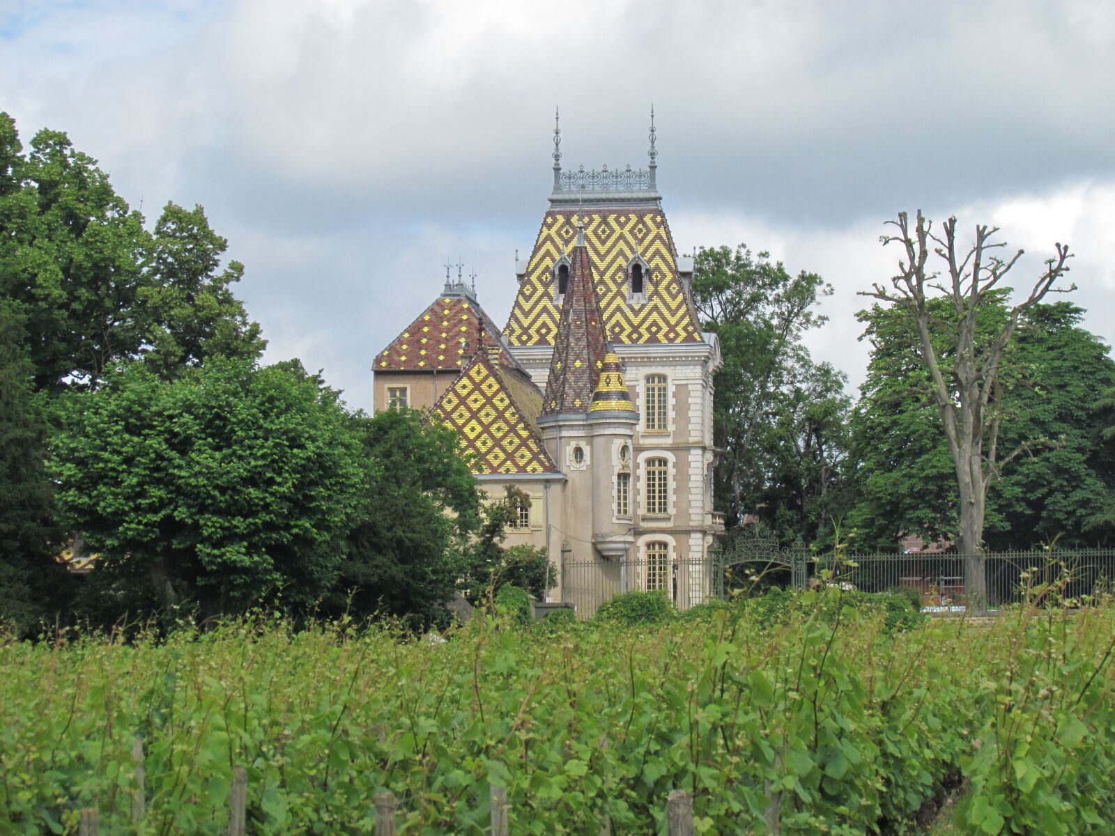 Canon PowerShot SX30 IS sample photo. France, wine castle, beaune photography