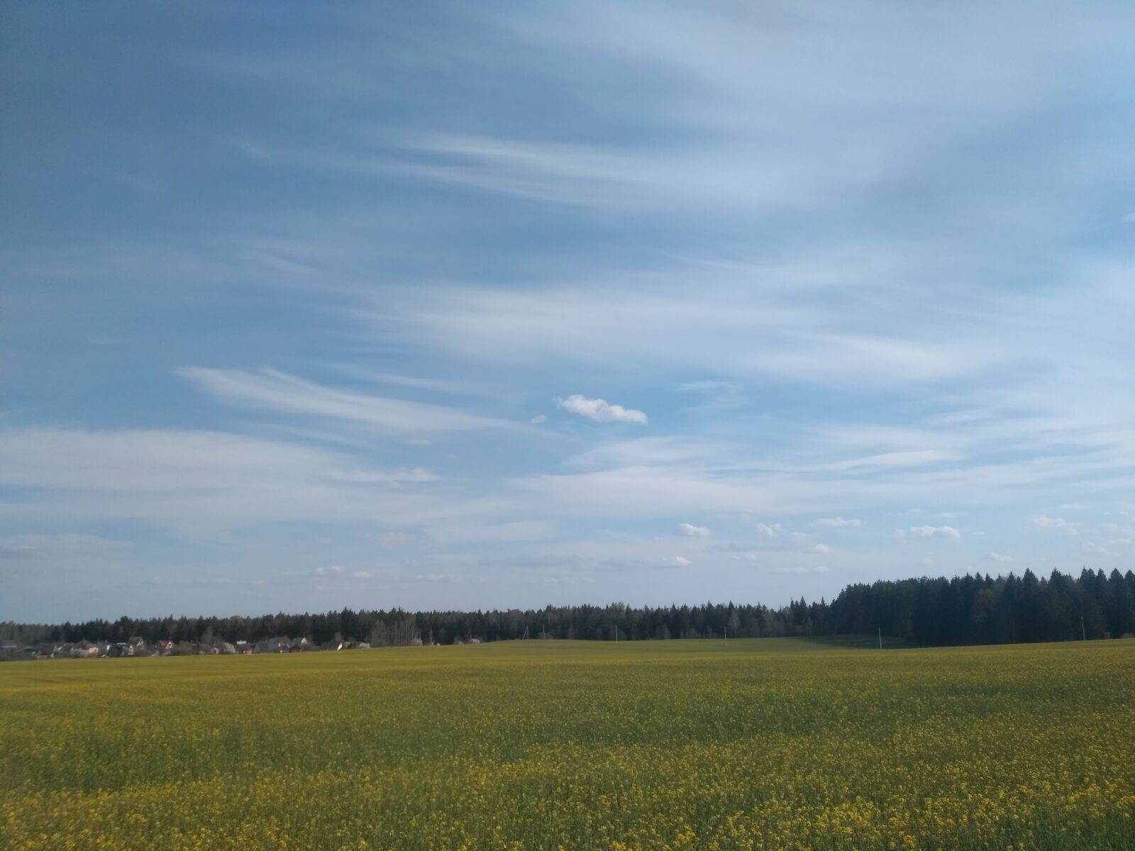 Xiaomi Redmi 3S sample photo. Spring, sky, summer photography