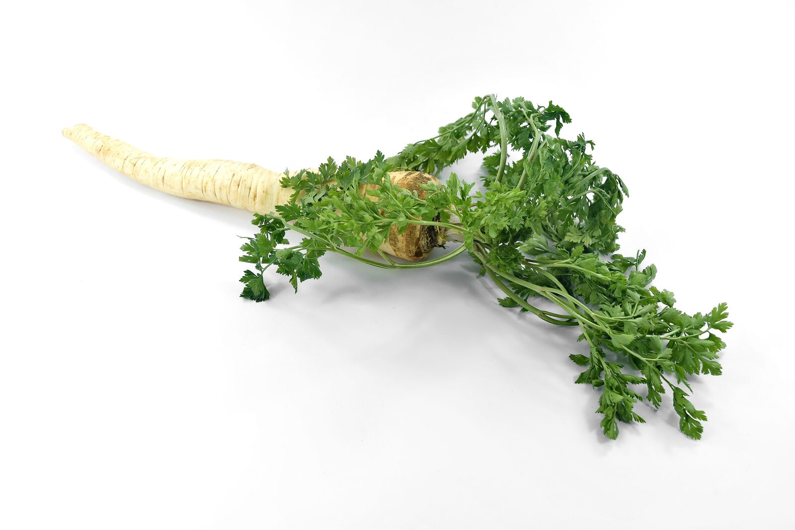 Nikon D5500 sample photo. Groceries, parsley, root, spice photography