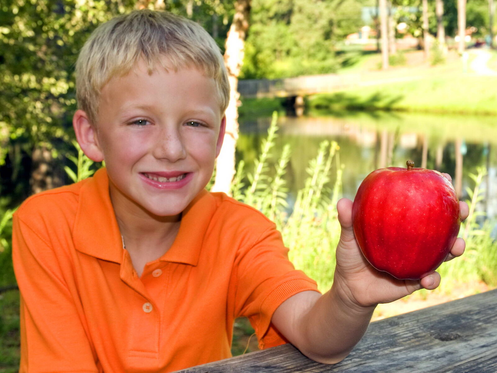 Nikon D300 sample photo. Young boy, photographed, outdoors photography