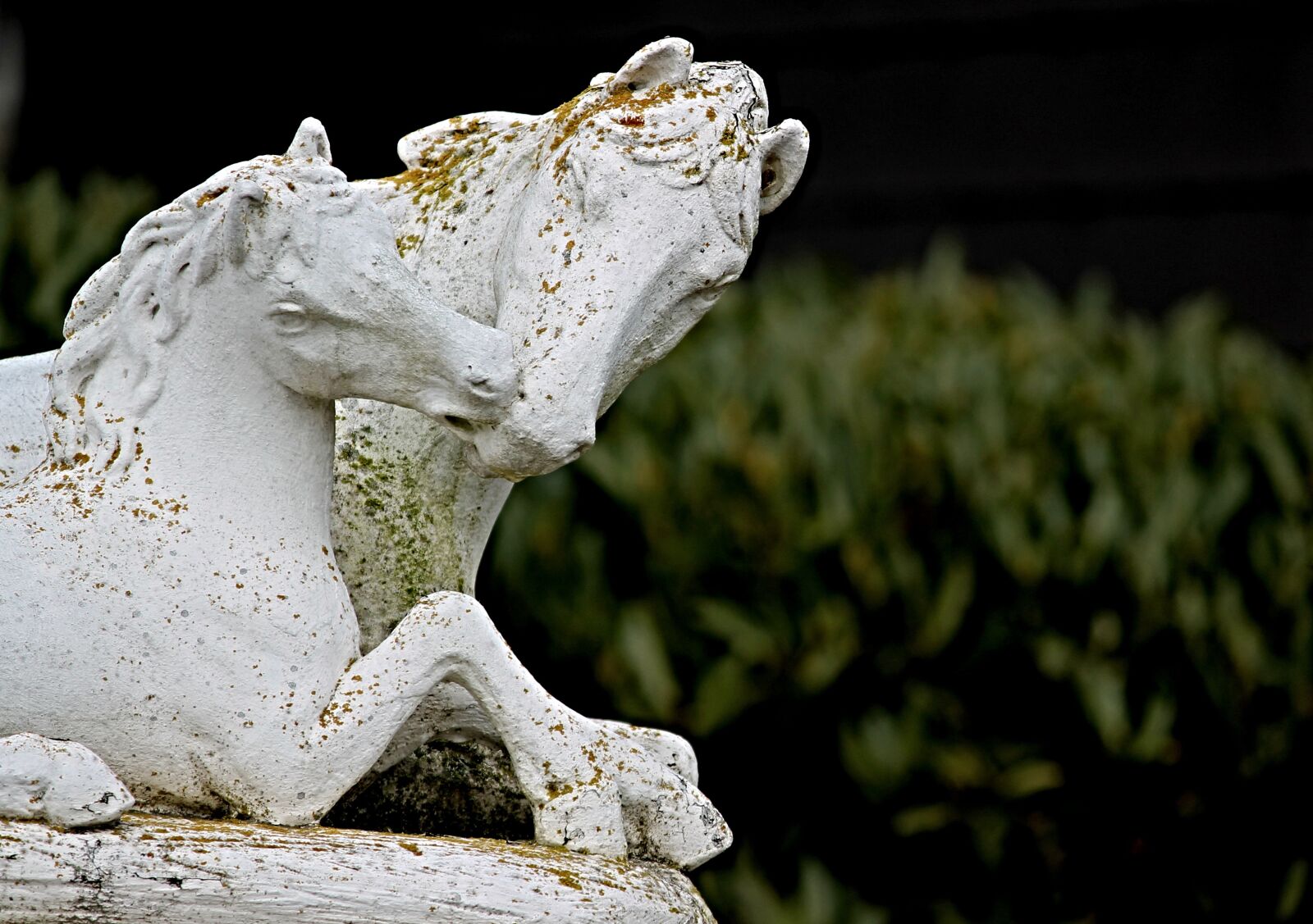 Canon EOS 1100D (EOS Rebel T3 / EOS Kiss X50) sample photo. Horses, sculpture, figure photography