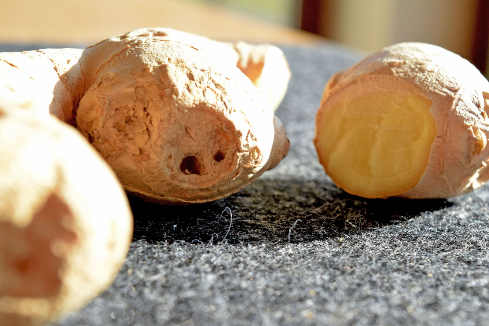 Nikon D3300 sample photo. Ginger, night, sun photography