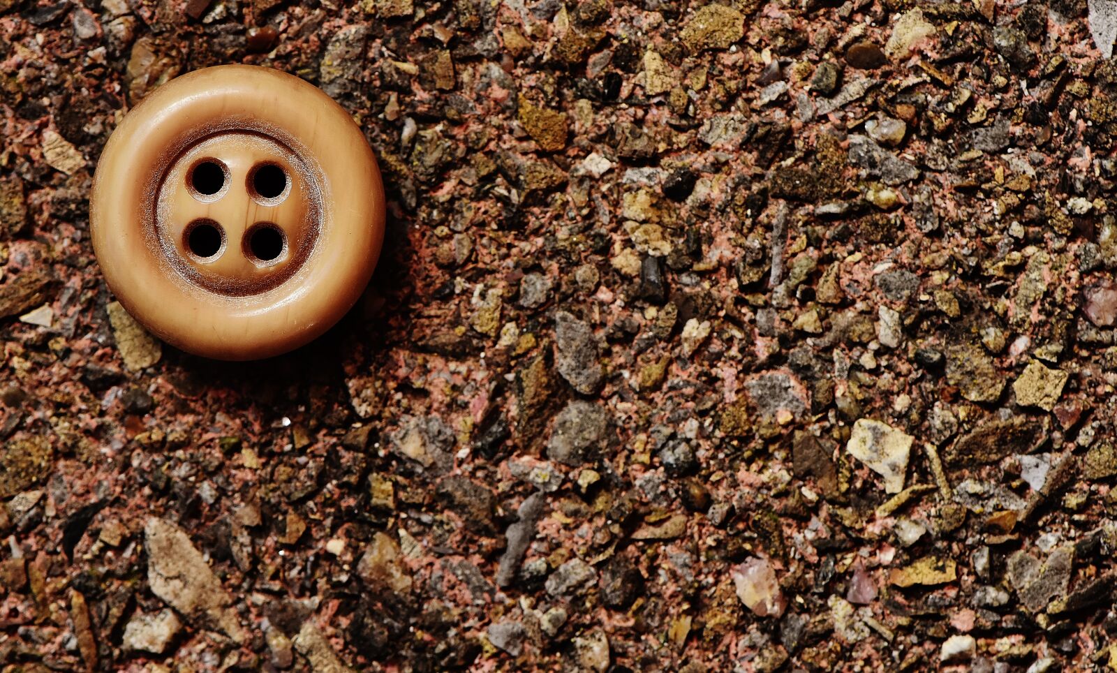 Nikon D7200 sample photo. Button, 4 holes, beige photography