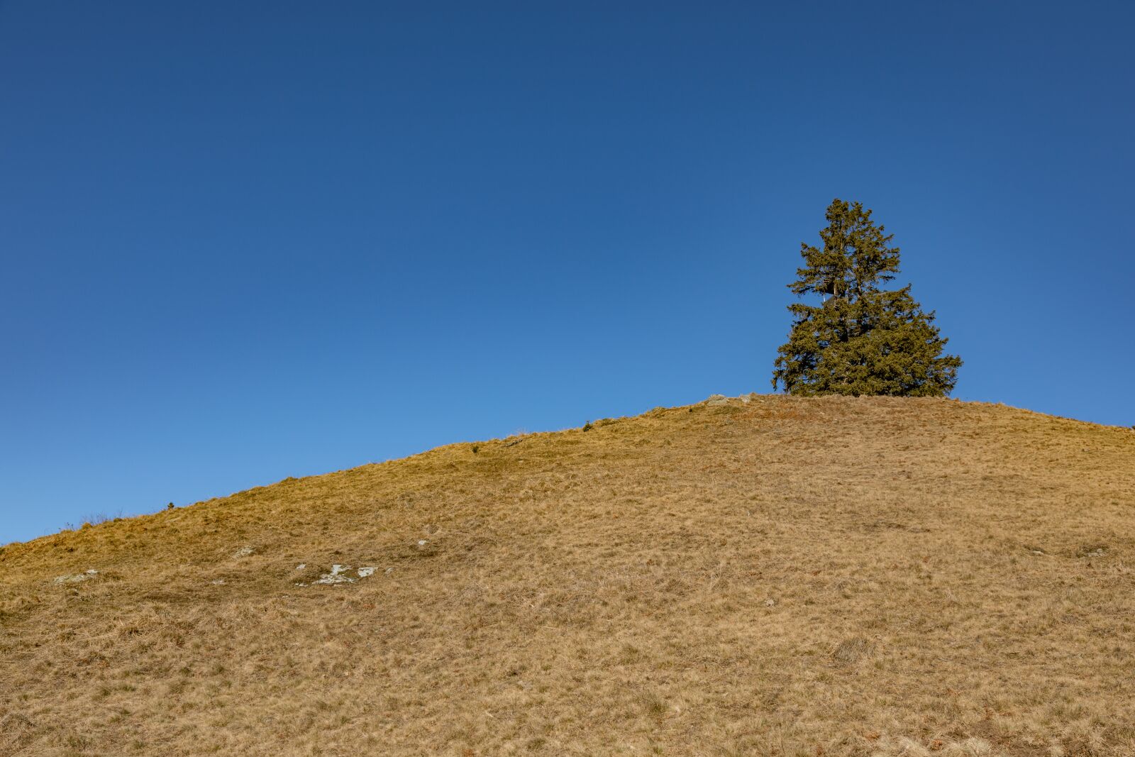Canon EOS 5D Mark IV sample photo. Sky, blue, mood photography
