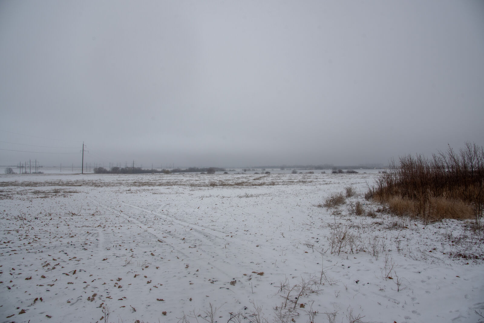 Nikon D750 sample photo