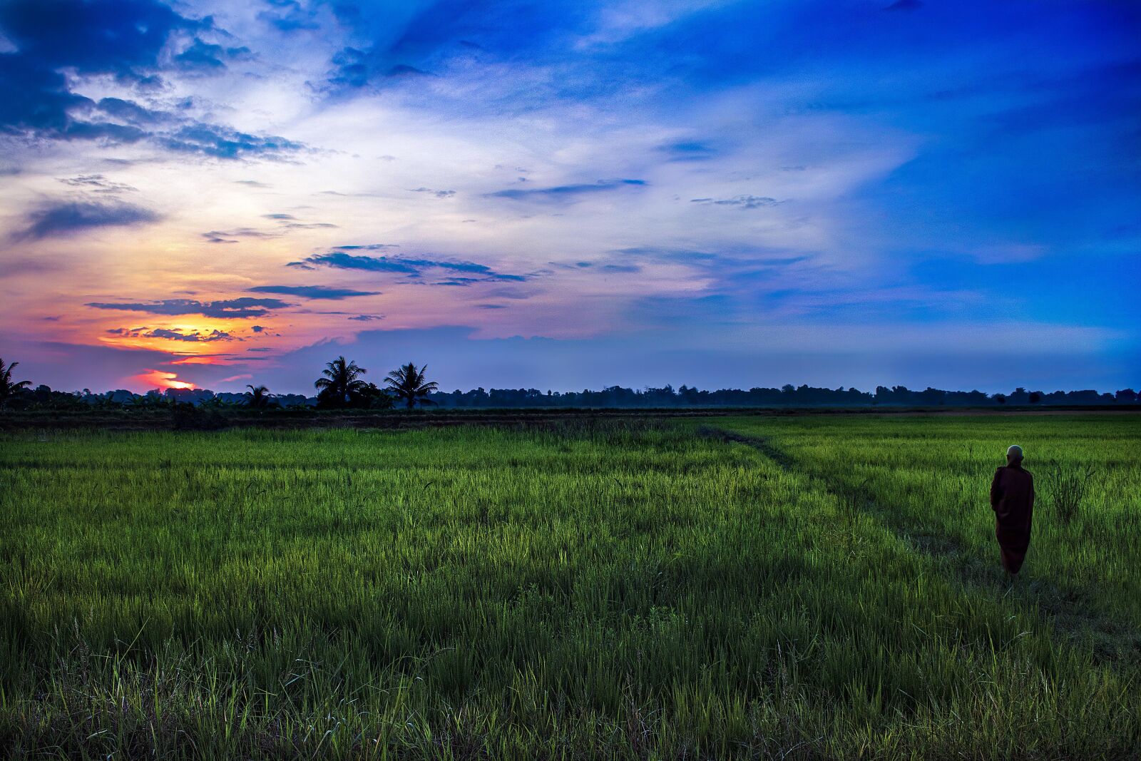 Canon EOS 750D (EOS Rebel T6i / EOS Kiss X8i) sample photo. Buddhist, monk, dawn photography