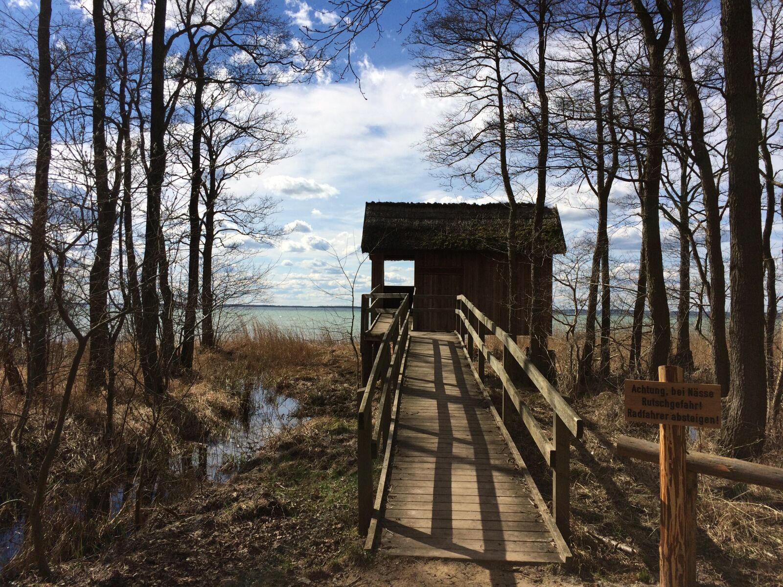 iPhone 5s back camera 4.15mm f/2.2 sample photo. Nature, away, forest photography