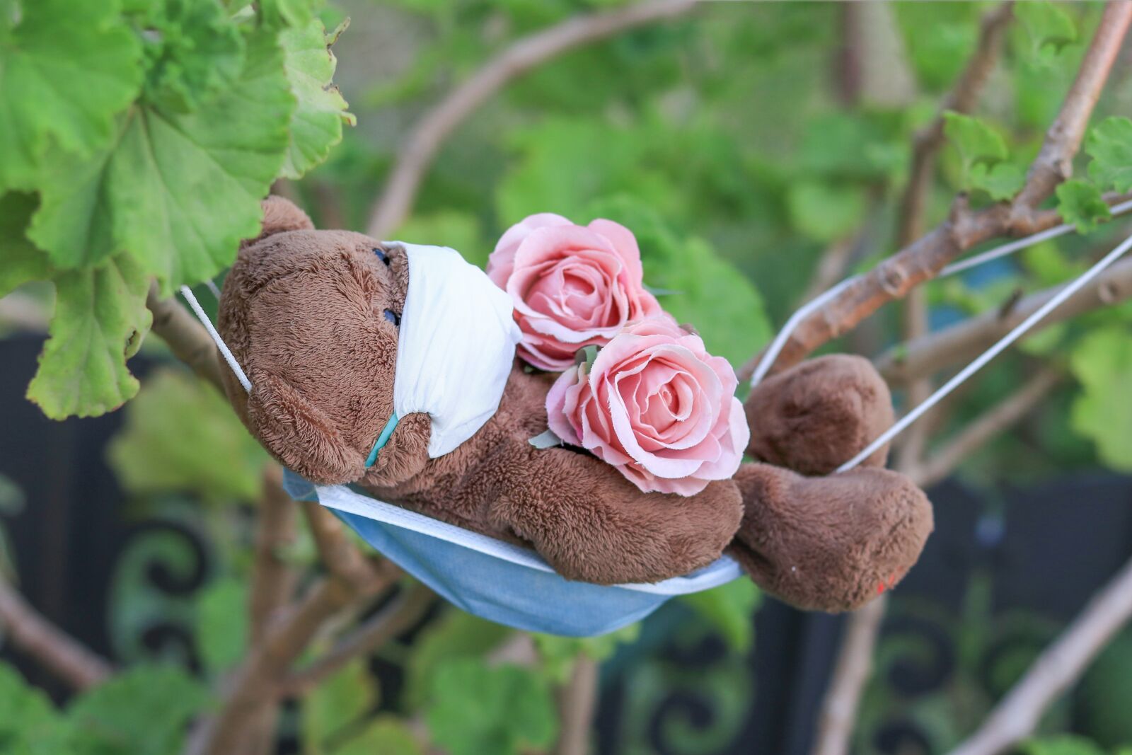 Canon EOS 80D sample photo. Bear, mask, hammock photography