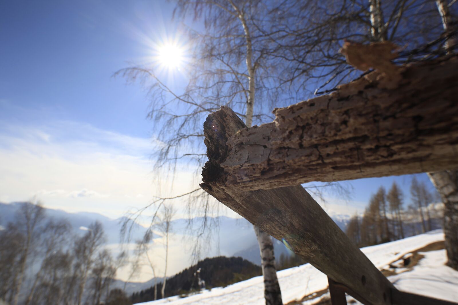 ZEISS Distagon T* 18mm F3.5 sample photo. Sun, nature, snow photography