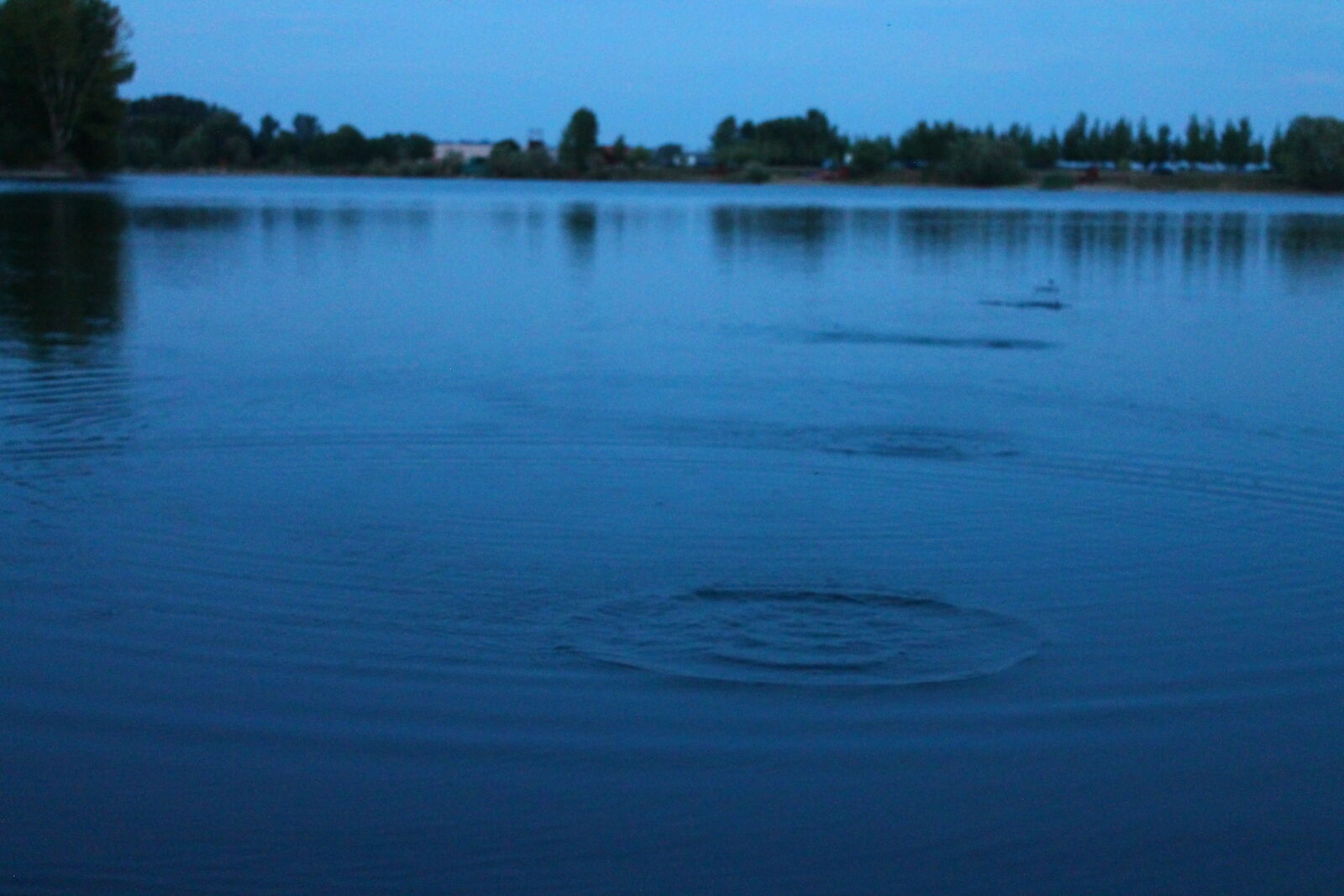 Canon EOS 1100D (EOS Rebel T3 / EOS Kiss X50) sample photo. Firecracker, lake, pont, trees photography