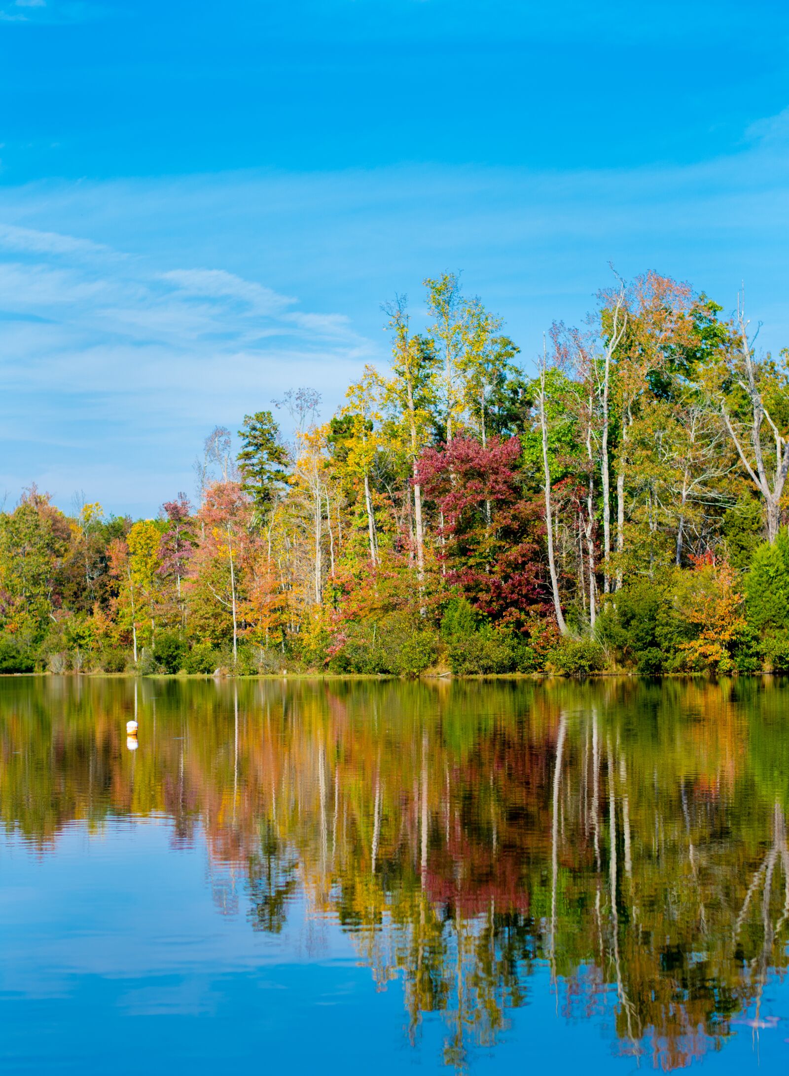 Nikon D7100 sample photo. Park, reflection, water photography
