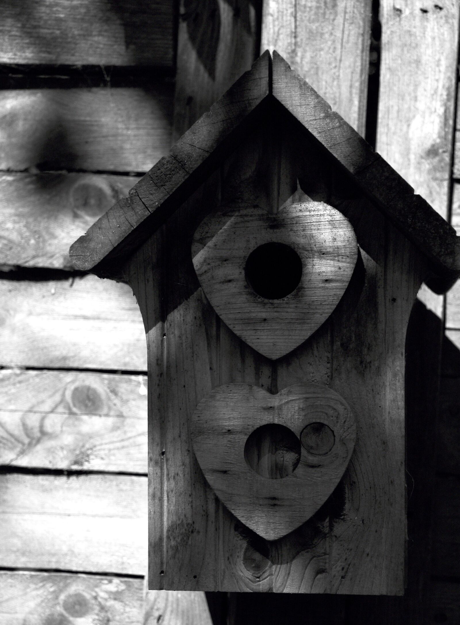 Nikon D5500 sample photo. Nest box, garden, birds photography
