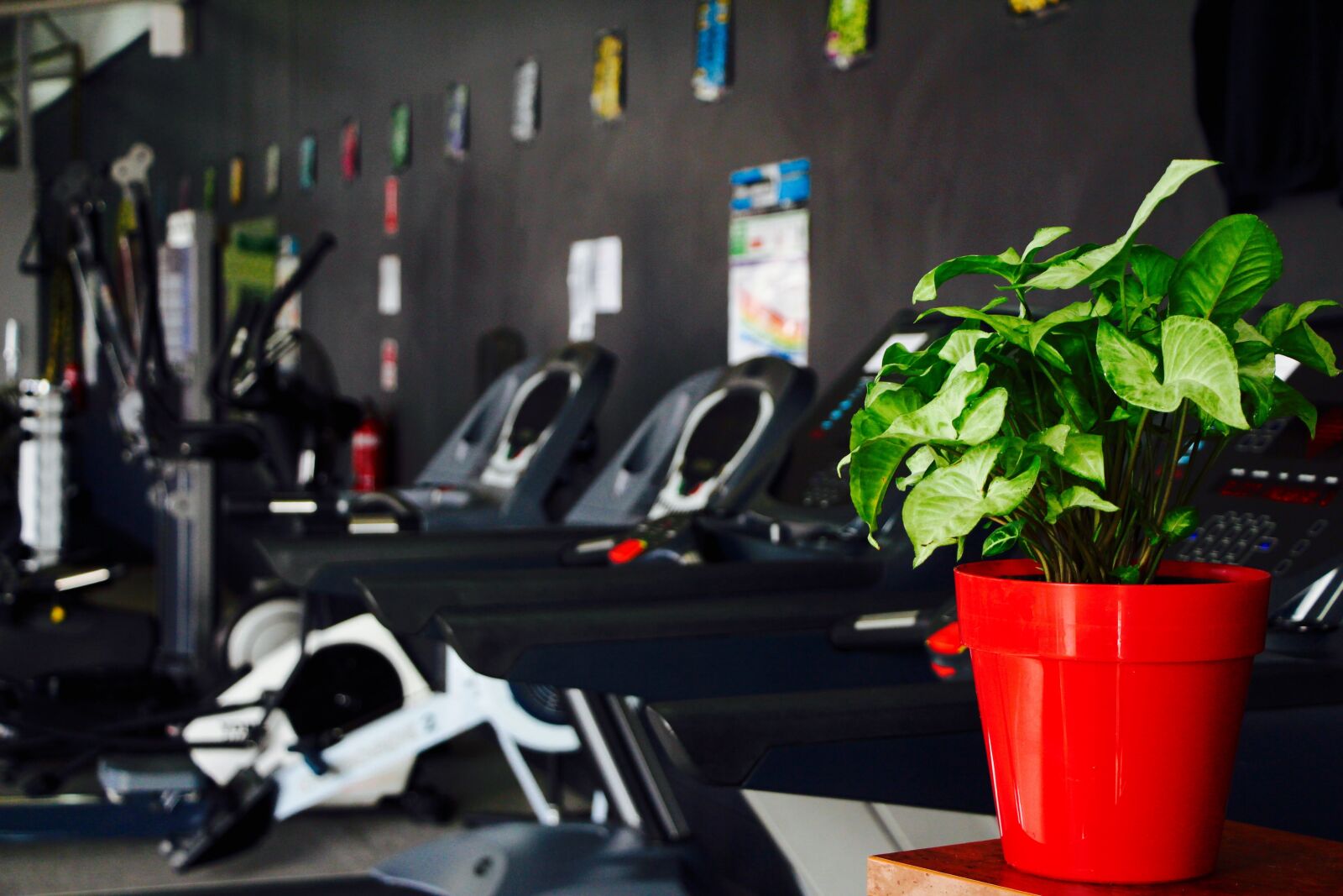 Canon EOS 650D (EOS Rebel T4i / EOS Kiss X6i) sample photo. Gym, fitness, exercise photography