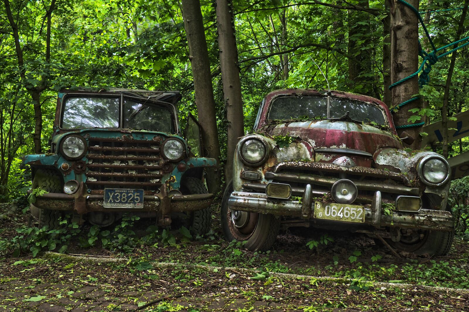 Olympus OM-D E-M10 sample photo. Auto, car cemetery, oldtimer photography