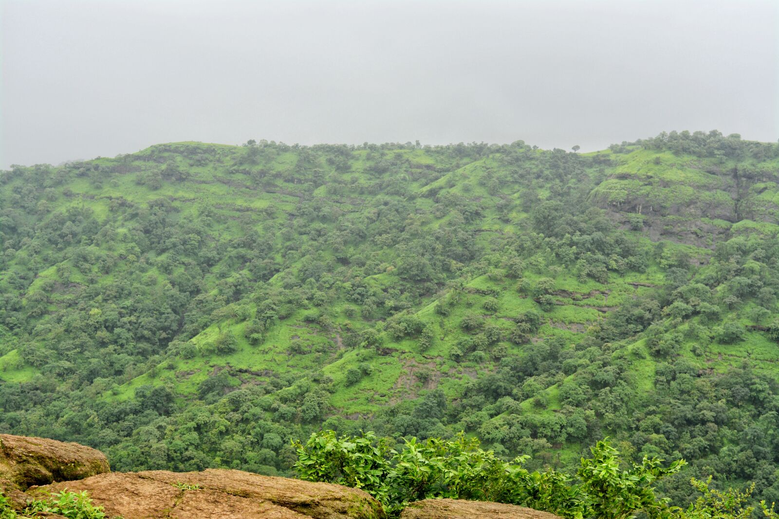 Nikon D5200 sample photo. Mountain, forest, mountains photography