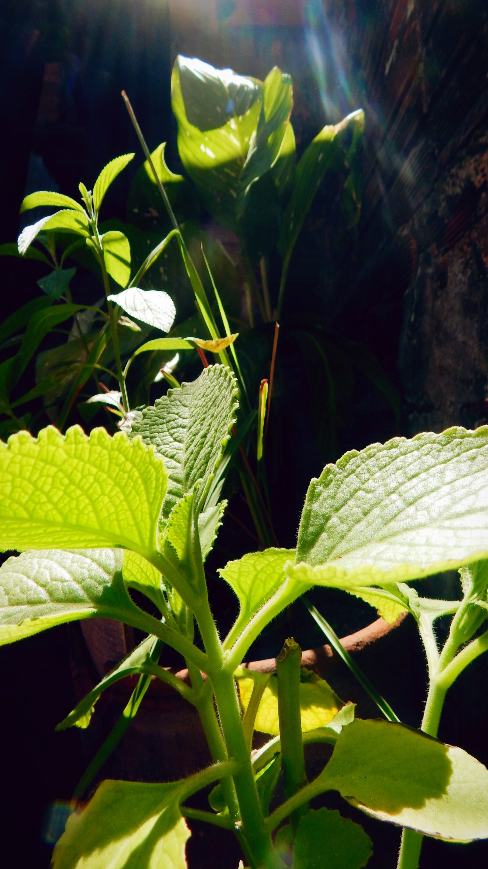 Nikon Coolpix L820 sample photo. Distanciamento social, exerc cio photography