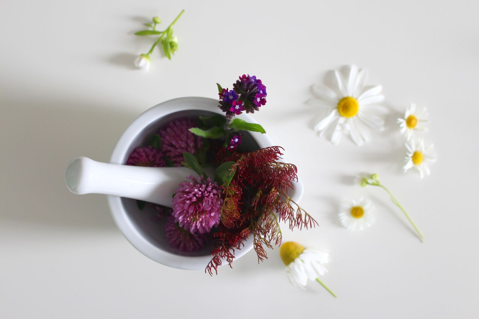 Canon EOS 700D (EOS Rebel T5i / EOS Kiss X7i) sample photo. Medicinal flower, cure, ointment photography