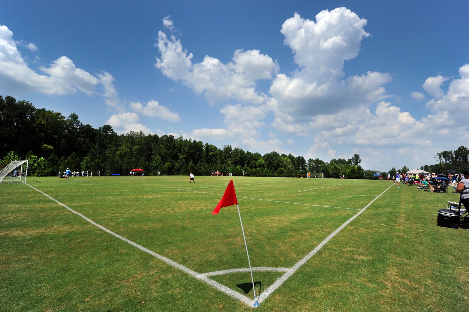 Nikon D3S sample photo. Grass, field, lawn photography