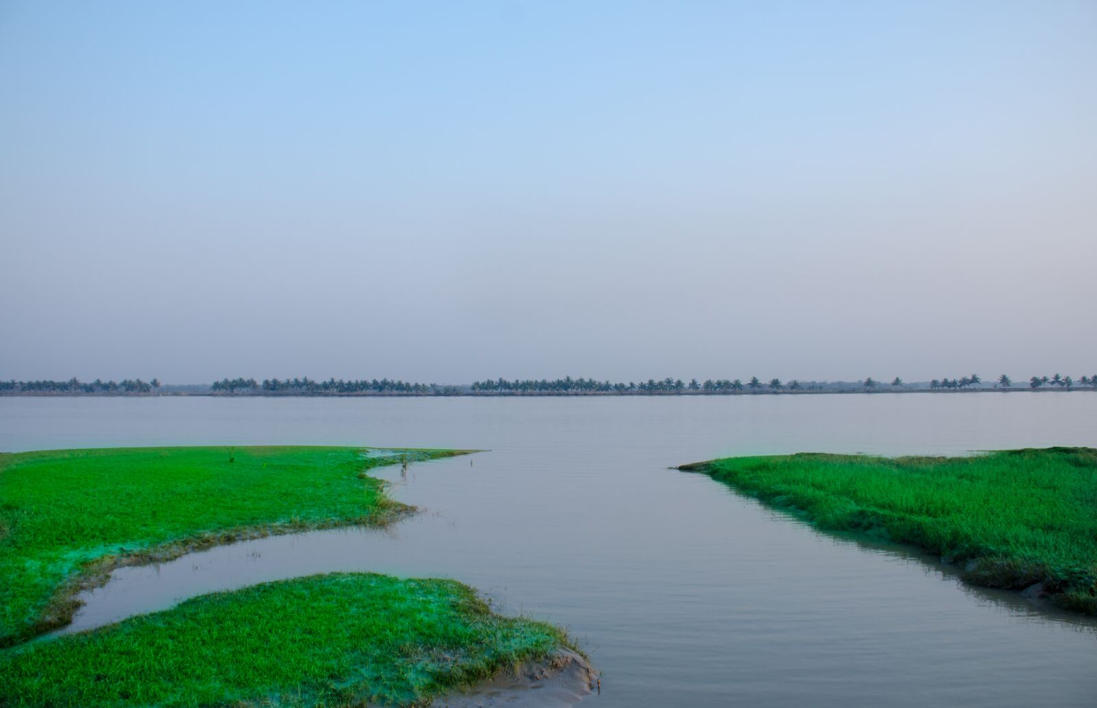 Nikon D7000 sample photo. River, water, green photography