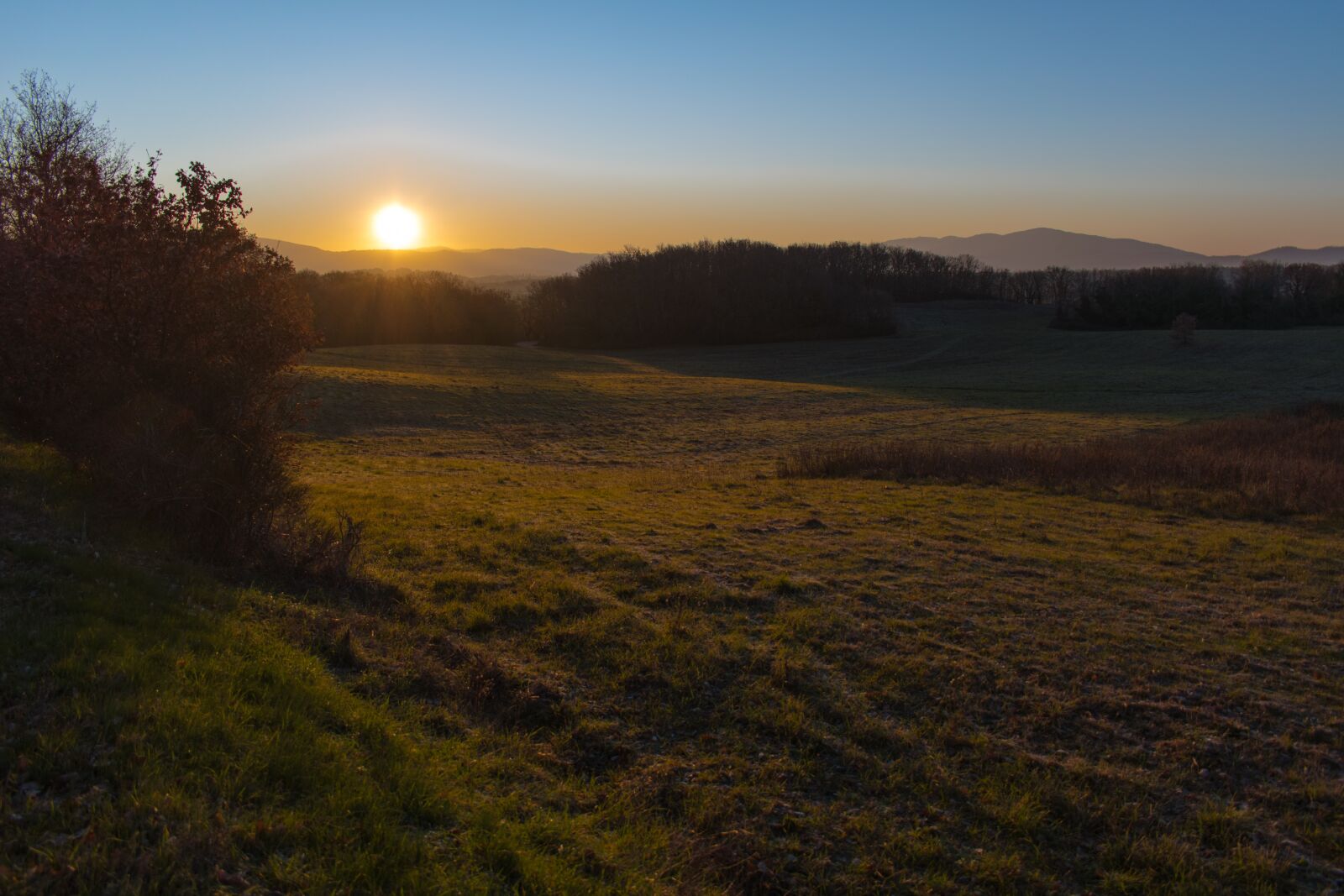 Nikon D5600 sample photo. Field, sunlight, sun photography