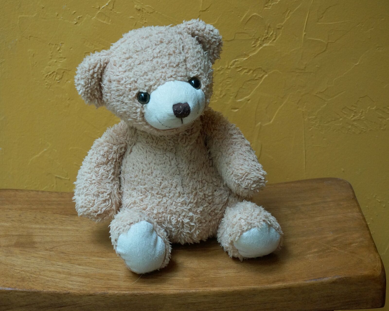 Sony Alpha NEX-5T sample photo. Old teddy bear, teddy photography