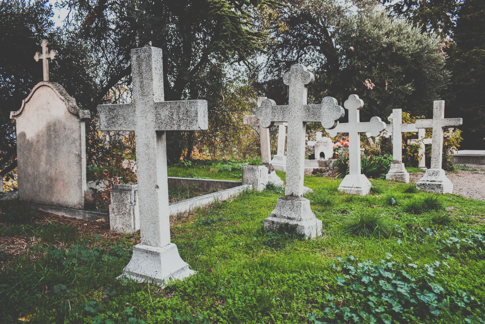 Nikon D3300 sample photo. Cemetery, old, cross photography