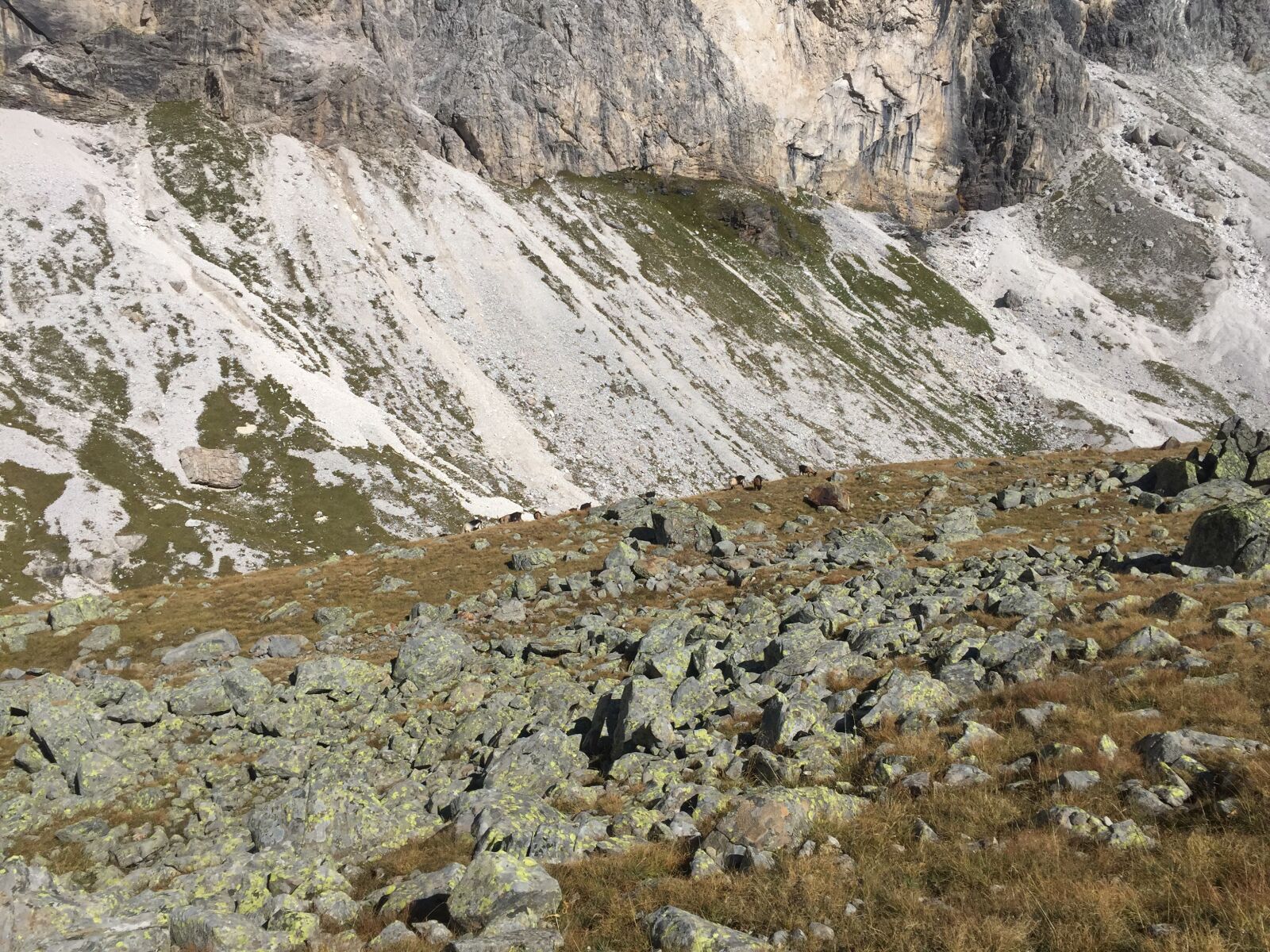 iPhone 6 back camera 4.15mm f/2.2 sample photo. Nature, mountain, rock photography