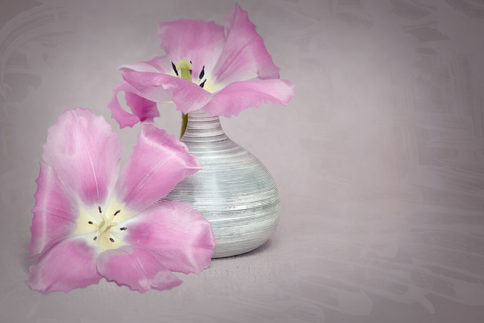 Nikon D750 sample photo. Flowers, tulips, pink photography