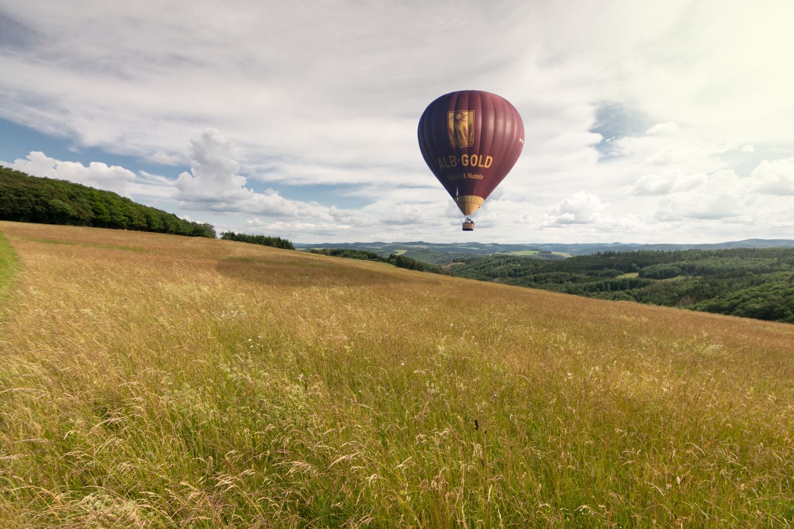 Nikon D5300 sample photo. Balloon, hot air balloon photography