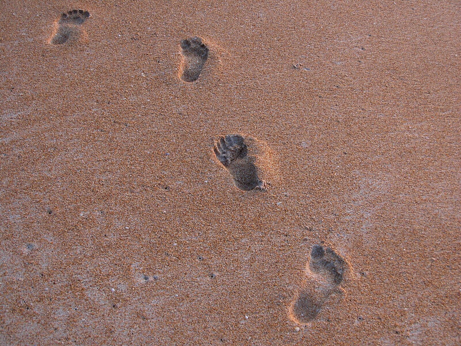 Nikon E5700 sample photo. Foot steps, beach, imprint photography