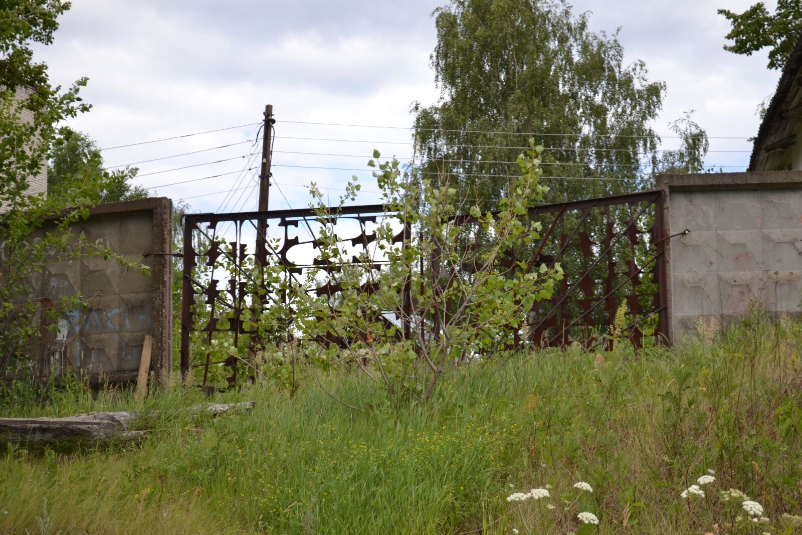Nikon D3100 sample photo. Gate, wall, the structure photography
