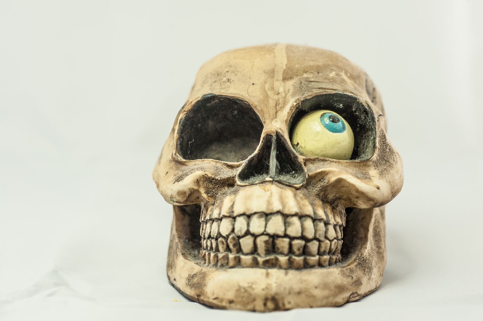 Nikon D700 sample photo. Skull and crossbones, eye photography