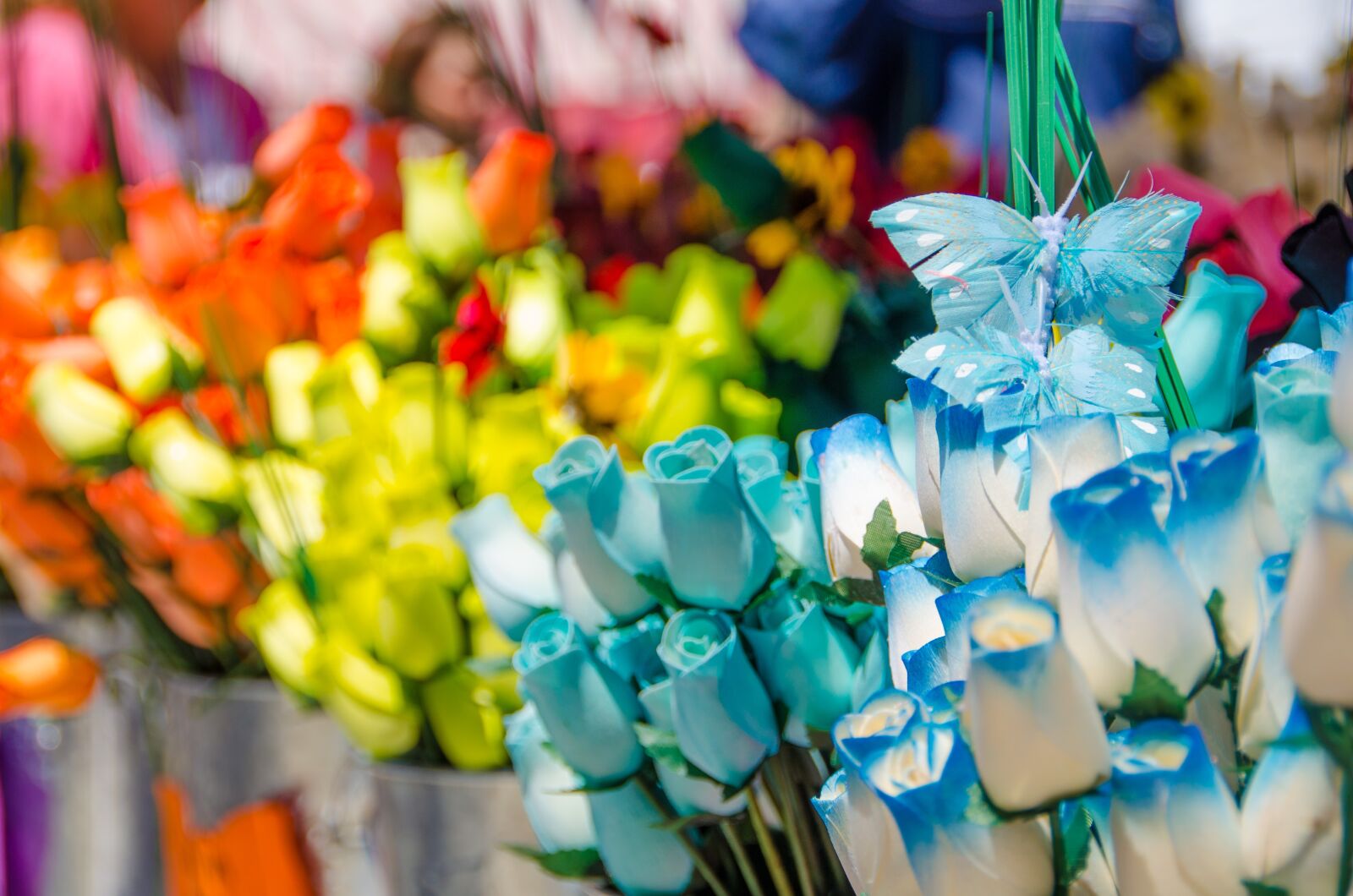 Nikon D5100 sample photo. Flowers, colors, beauty photography
