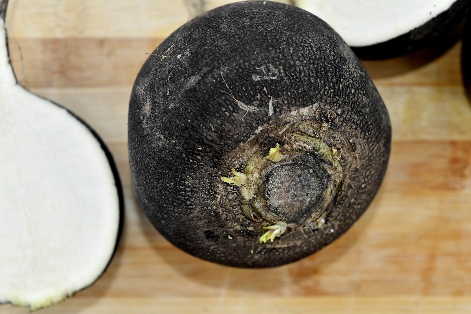 Nikon D5500 sample photo. Agriculture, produce, radish, roots photography