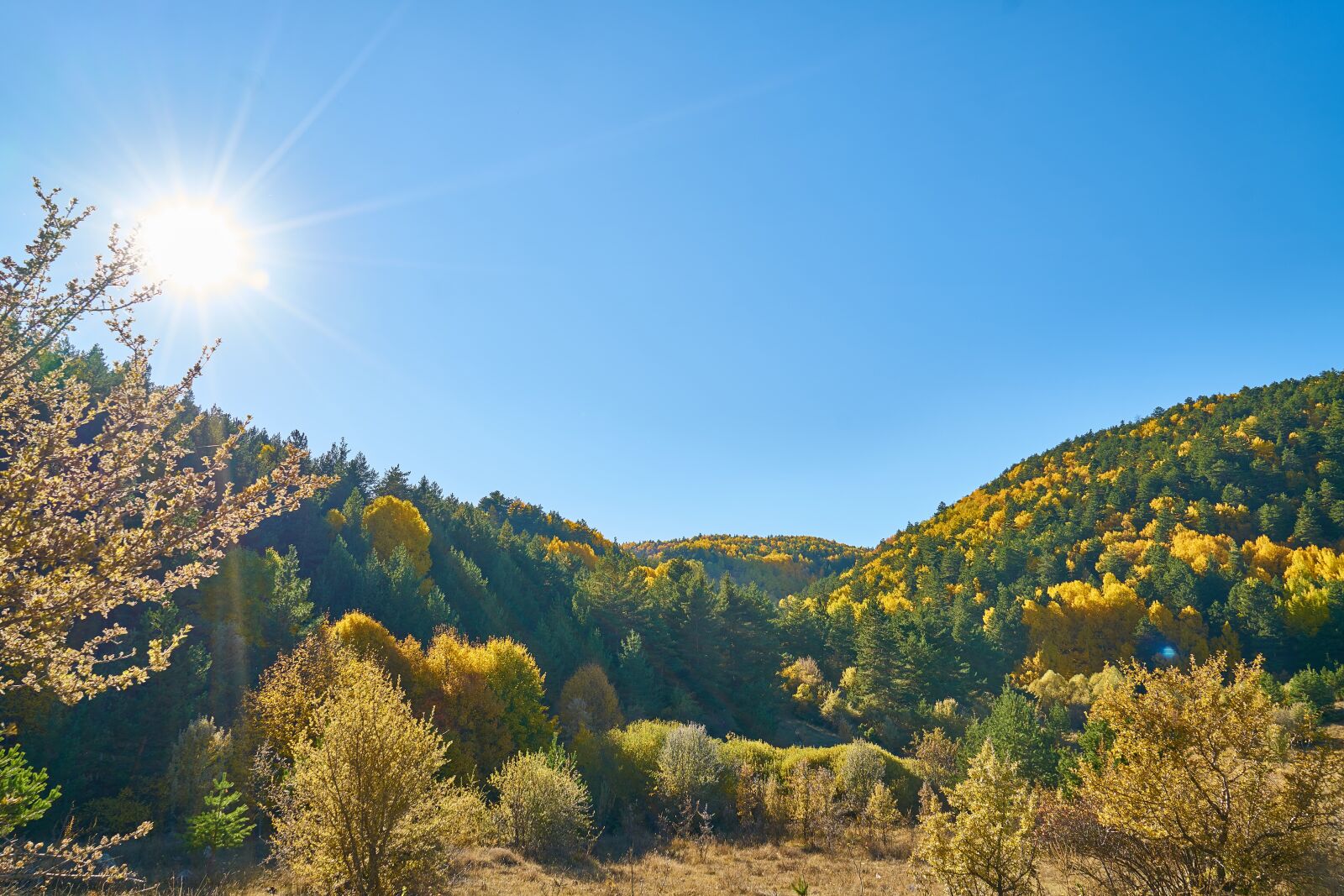 Sony a7R II sample photo. Mountains, trees, autumn photography