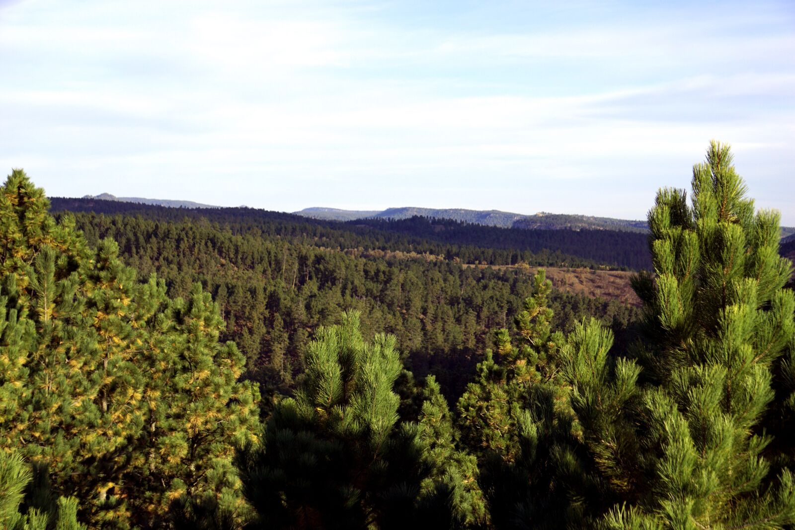 Sony E 55-210mm F4.5-6.3 OSS sample photo. Black hills, south dakota photography