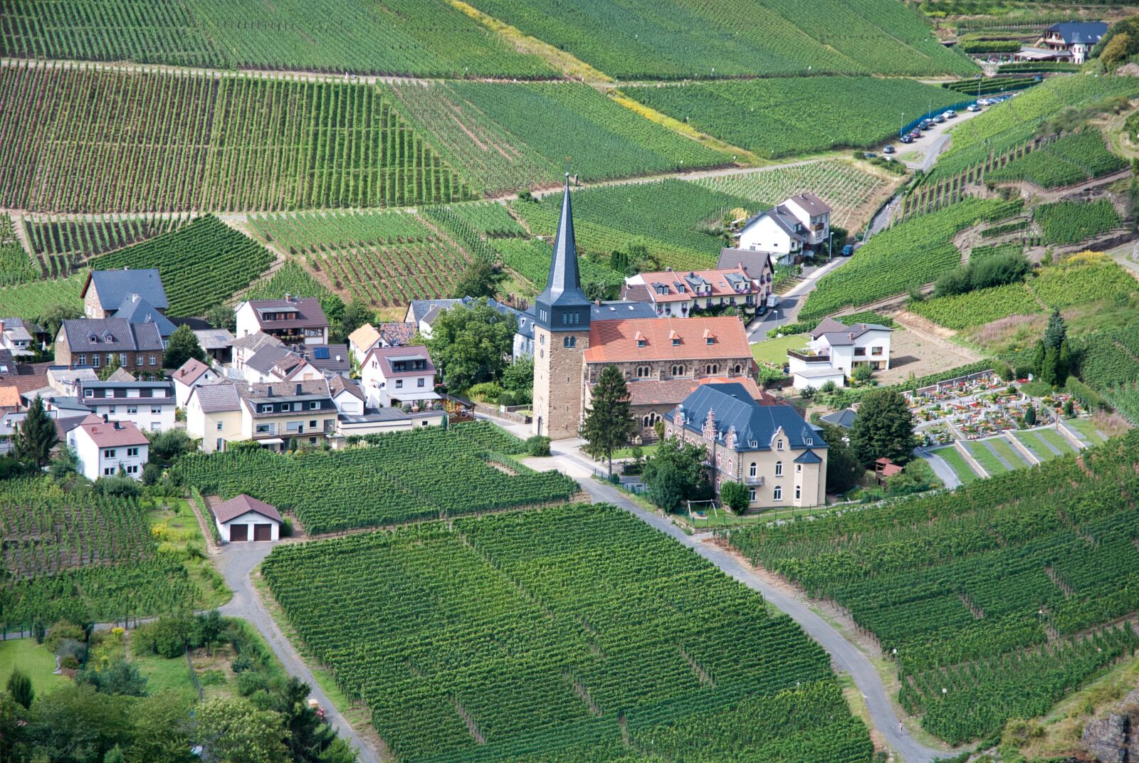 Nikon D80 sample photo. Vineyards, place, red wine photography