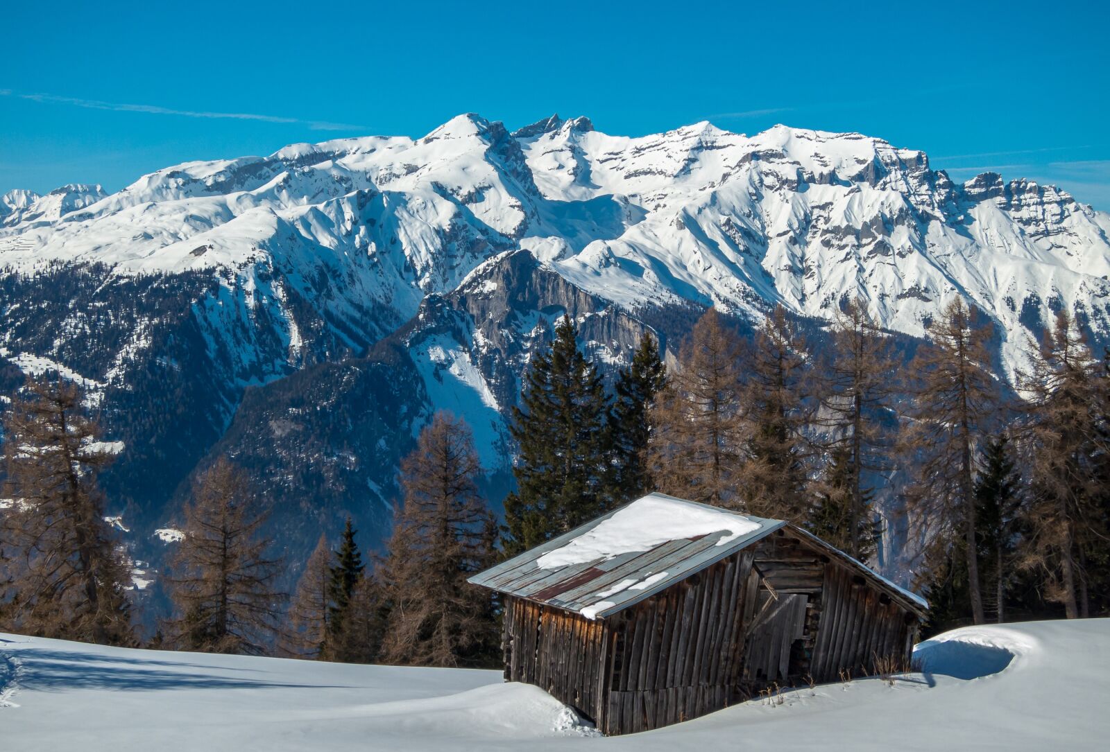 Canon PowerShot S100 sample photo. Marigold top, alpine hut photography