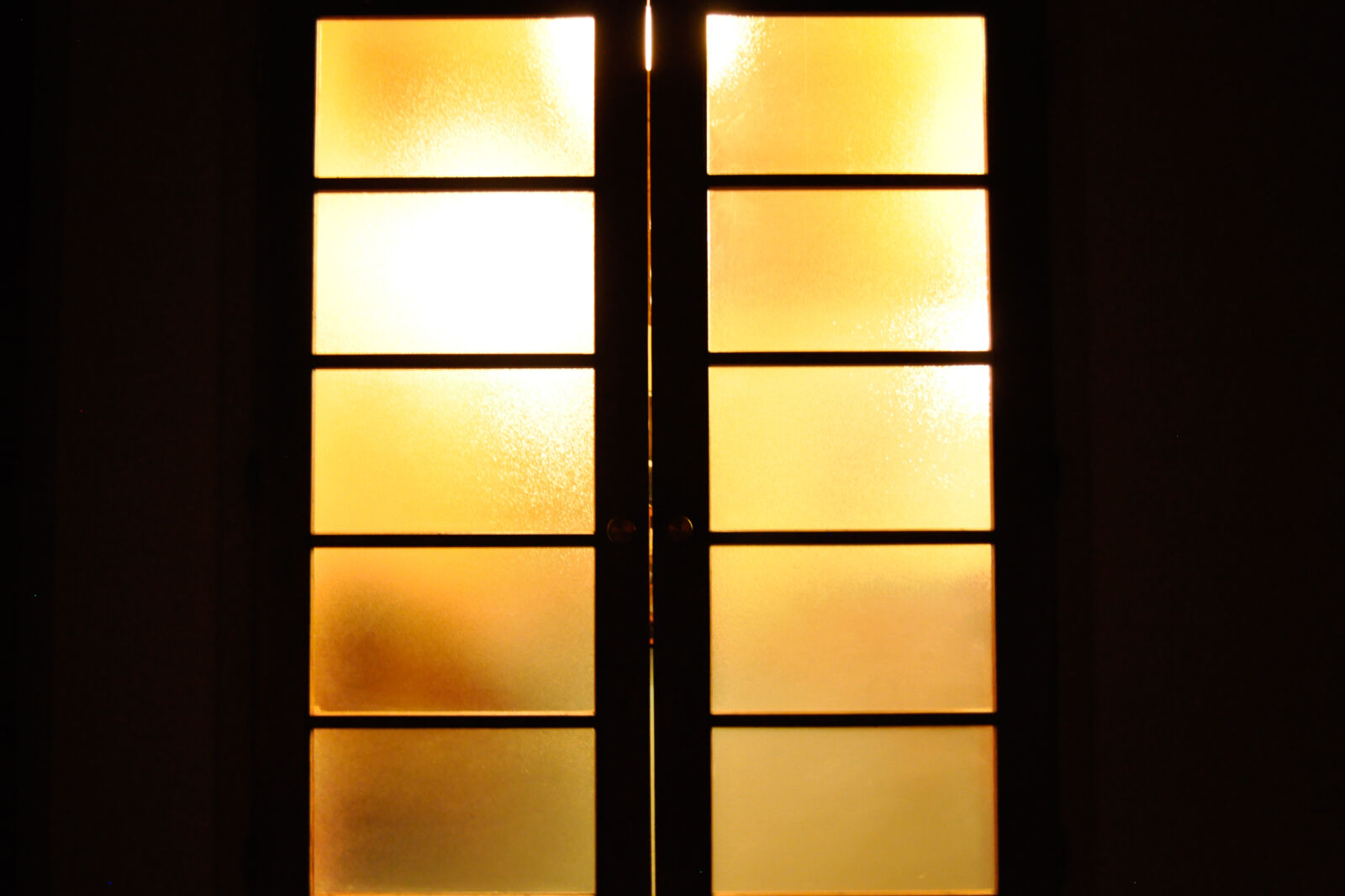 Nikon D5000 sample photo. Amber, doors, yellow photography