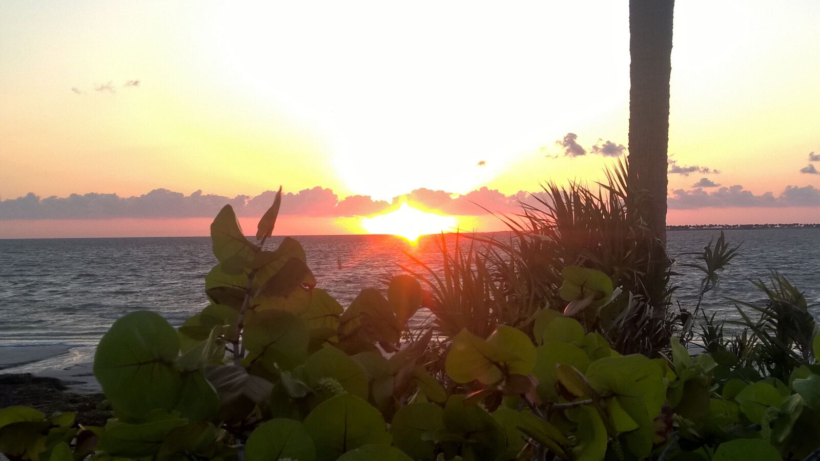 Nokia Lumia 1520 sample photo. Sunset, ocean, beach photography